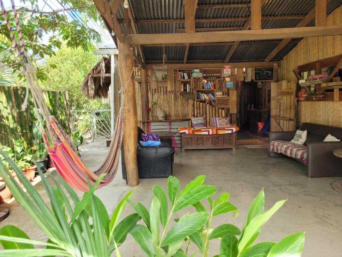 Roots Family Hostel Puerto Viejo de Talamanca Ngoại thất bức ảnh