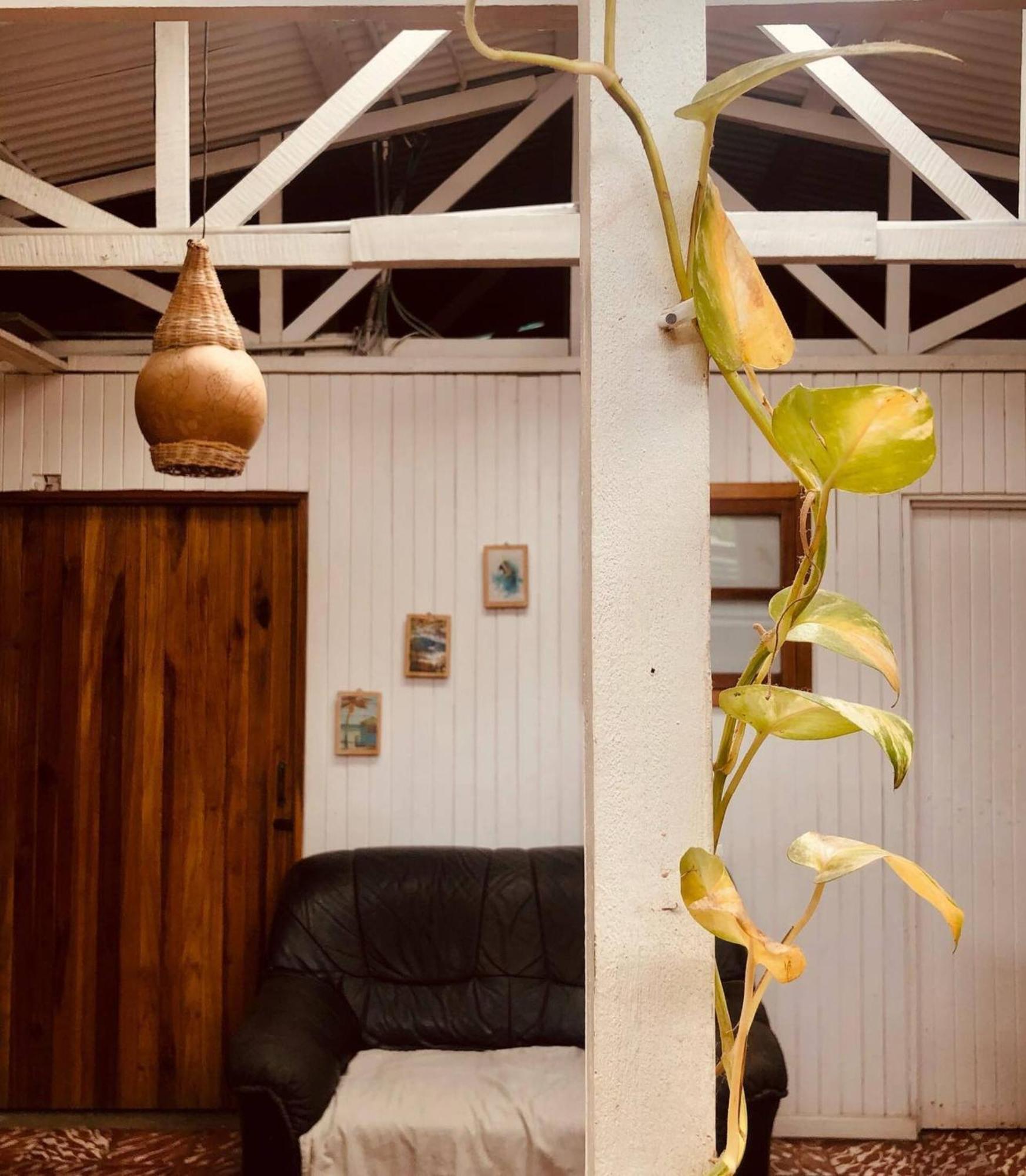Roots Family Hostel Puerto Viejo de Talamanca Ngoại thất bức ảnh