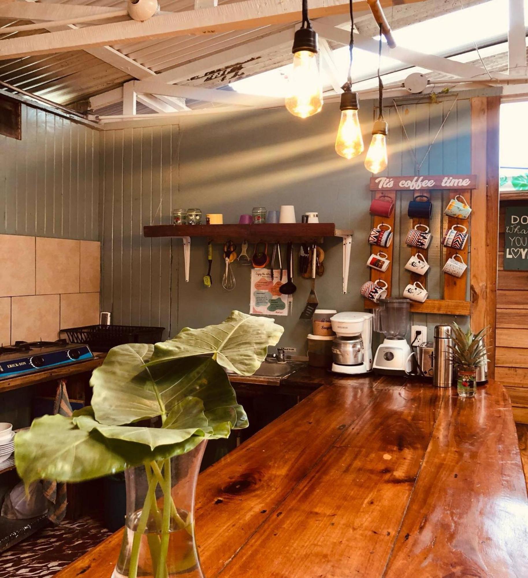 Roots Family Hostel Puerto Viejo de Talamanca Ngoại thất bức ảnh